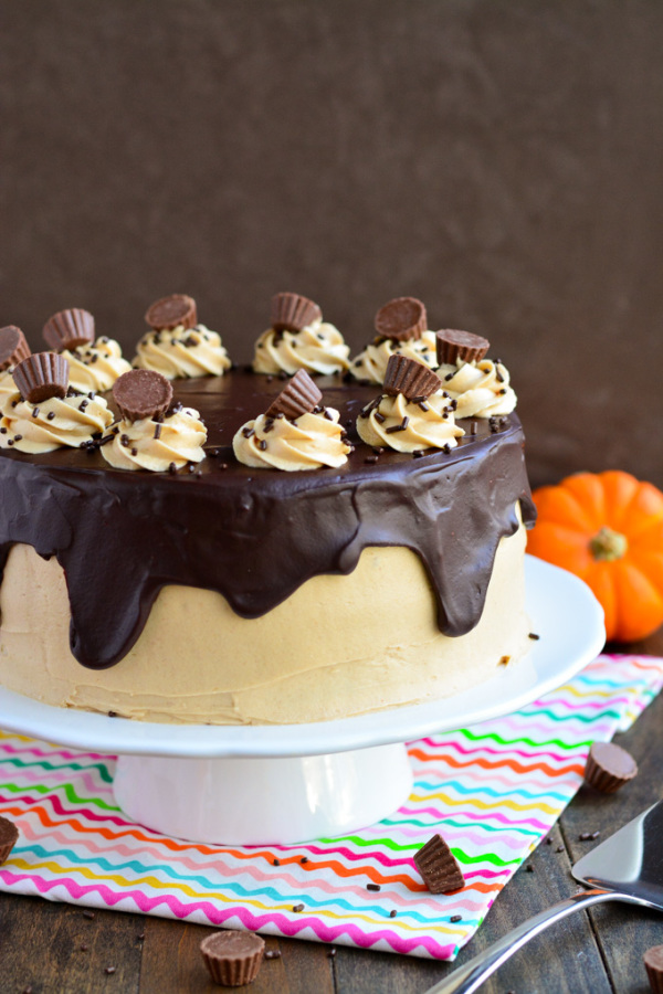 Peanut Butter Chocolate Pumpkin Cake