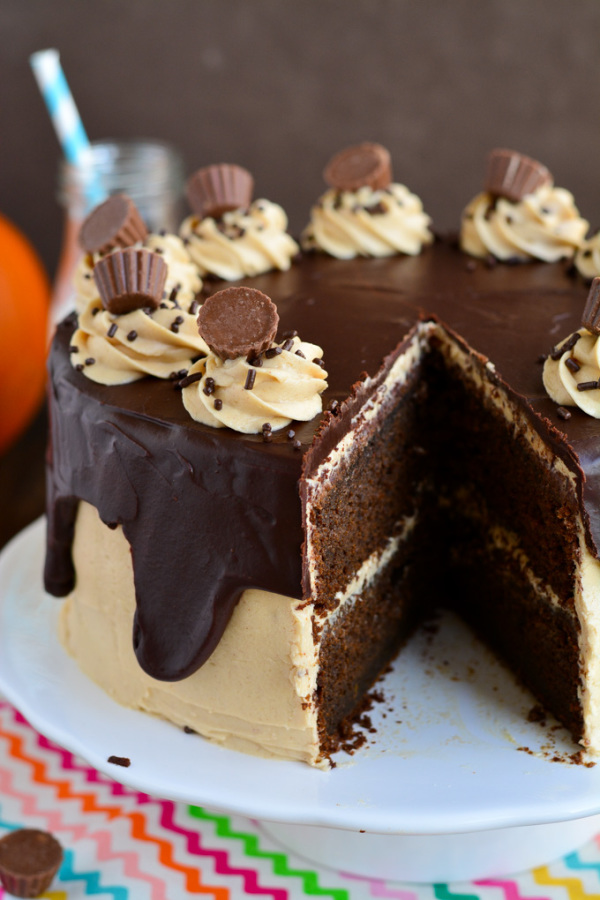 Peanut Butter Chocolate Pumpkin Cake