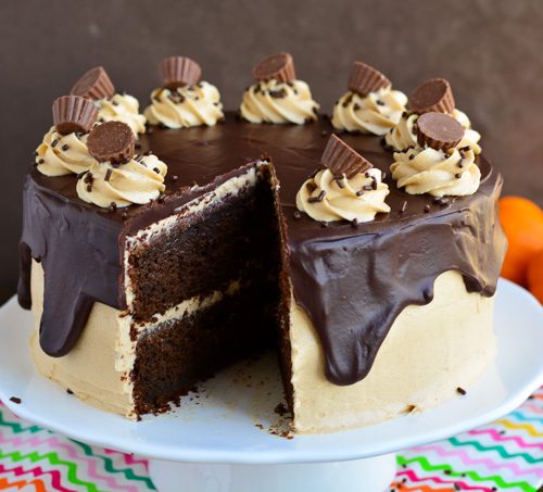 Truffle Cake With Chocolate Garnishing - Rayzincakes