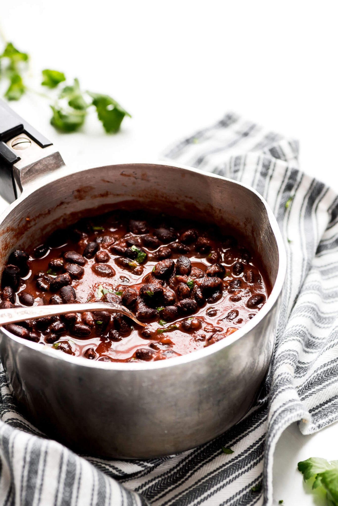 seasoned-black-beans-garnish-glaze